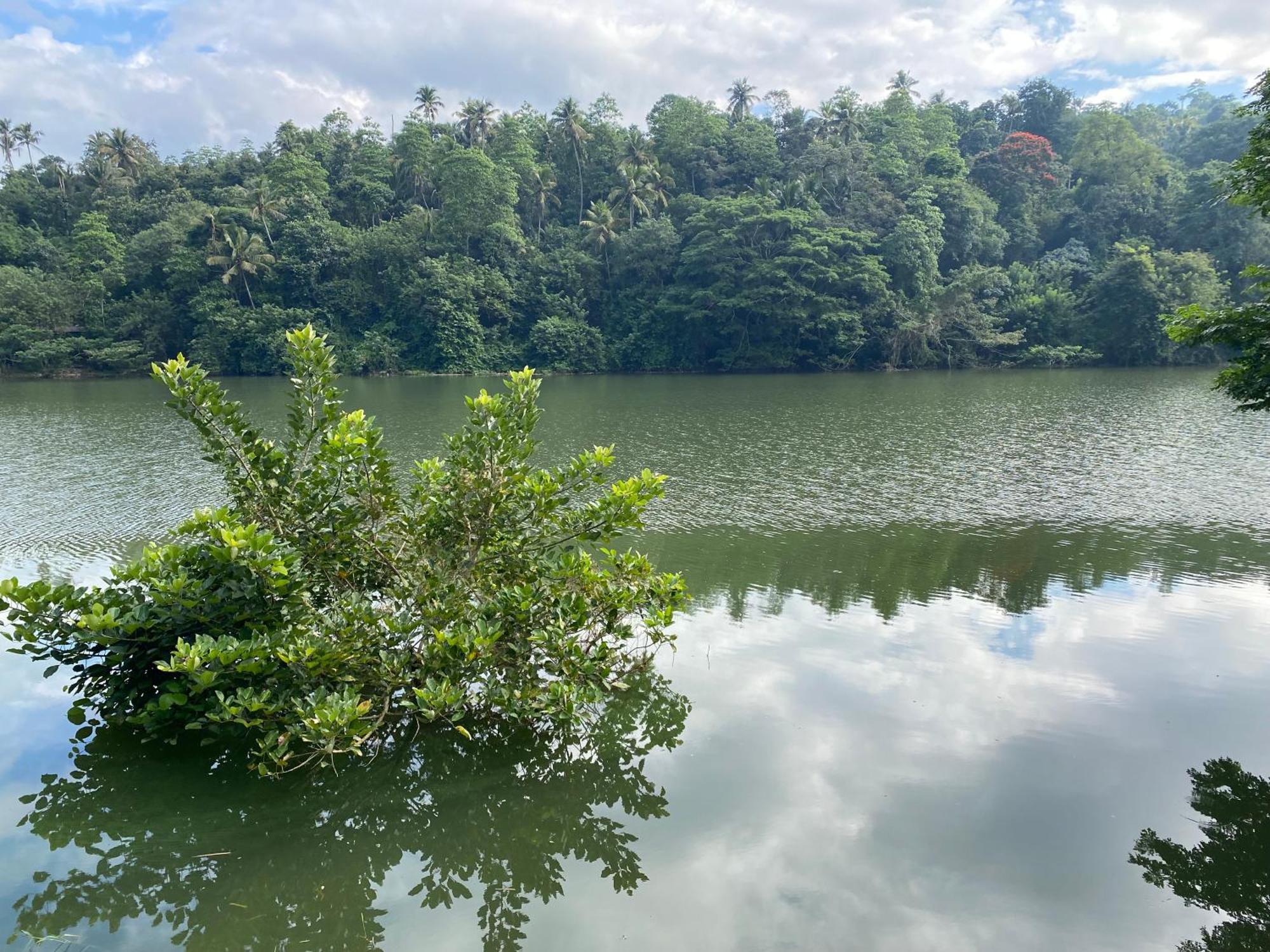 Kandy Rivers Edge Nature Resort Extérieur photo